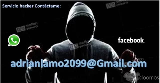 DETECTIVE INFROMATICO HACKER — foto 1
