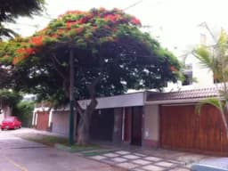 OCASIÓN VENDO DPTO EN SURCO