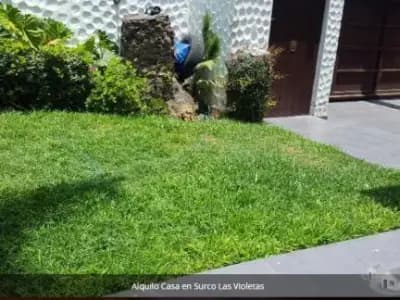 Alquilo linda casa en surco las violetas por la merced 6 dormitorios 6 baños 2 cocheras