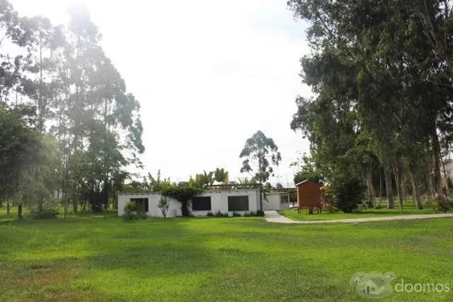 Terreno en venta - Cañete — foto 2