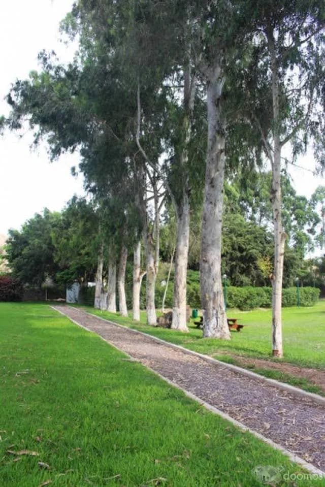 Terreno en venta - Cañete — foto 3