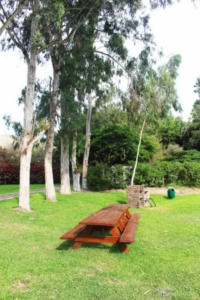 Terreno en venta - Cañete — foto 4