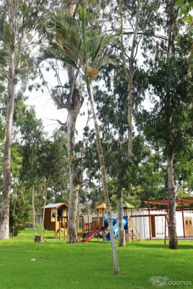 Terreno en venta - Cañete — foto 6
