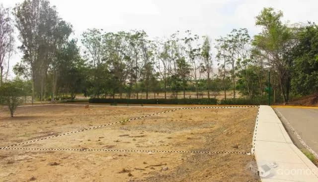 Terreno en venta - Cañete — foto 8