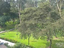 Departamento de 260 m2 con fabulosa vista a parque
