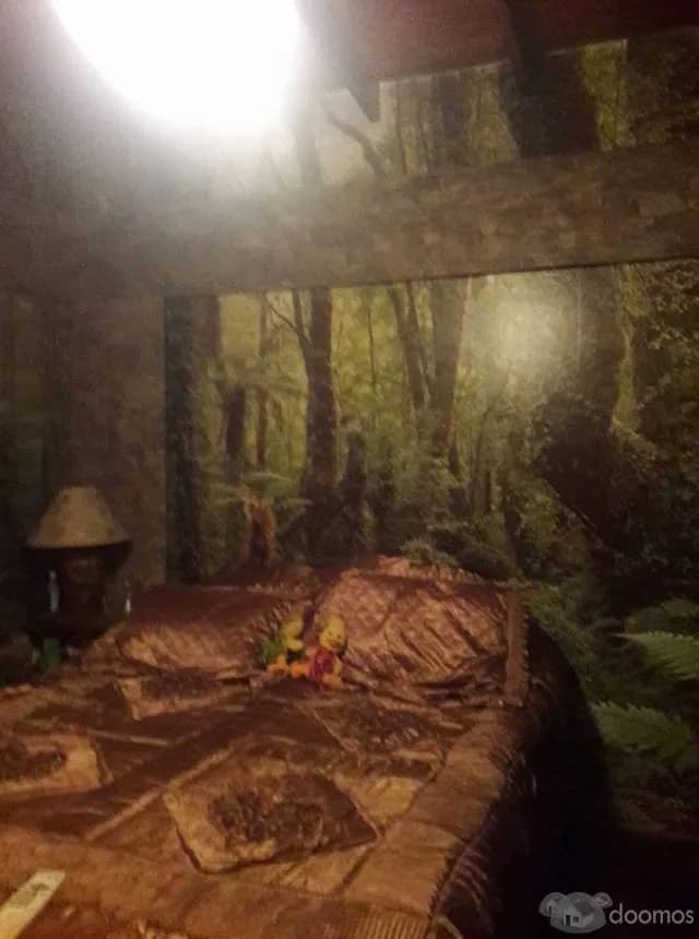 ALQUILO AMOBLADO — foto 1