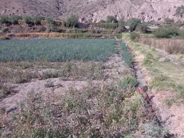 OCASIÓN VENDO TERRENO VALLE DE CHILINA 66000 dólares — foto 2