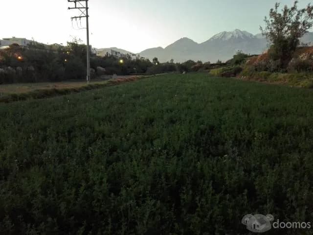 Vendo Terreno Urbano Cayma por Quinta Samay — foto 2