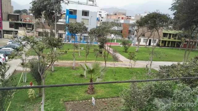 Acogedor departamento en Los olivos — foto 5