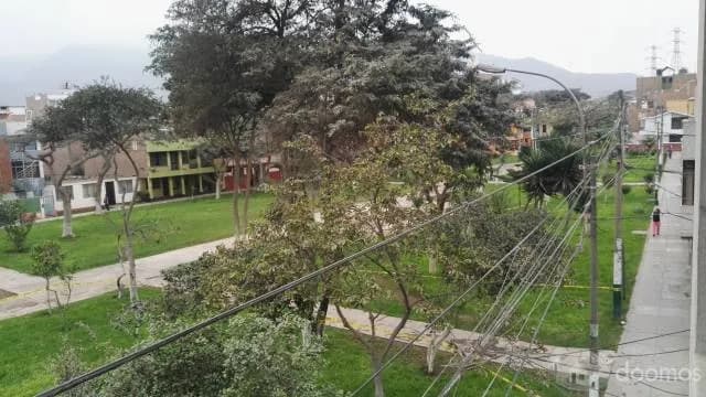 Acogedor departamento en Los olivos — foto 6