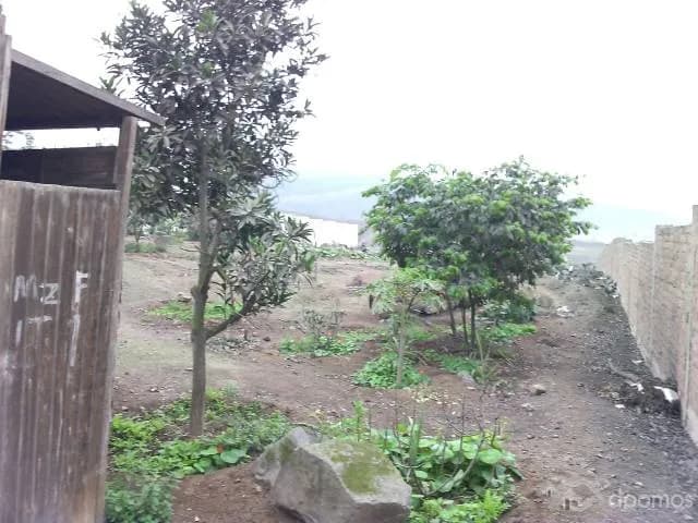 Venta de terreno — foto 2