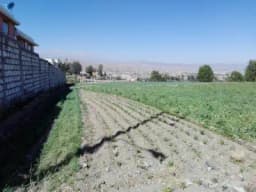 Vendo hermoso terreno ideal para casas huerta en Acequia Alta – Cayma.