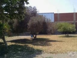 CHILCA URB. PAPA LEON XIII VENDO TERRENO EN AVENIDA CASUARINAS (tercera entrada)