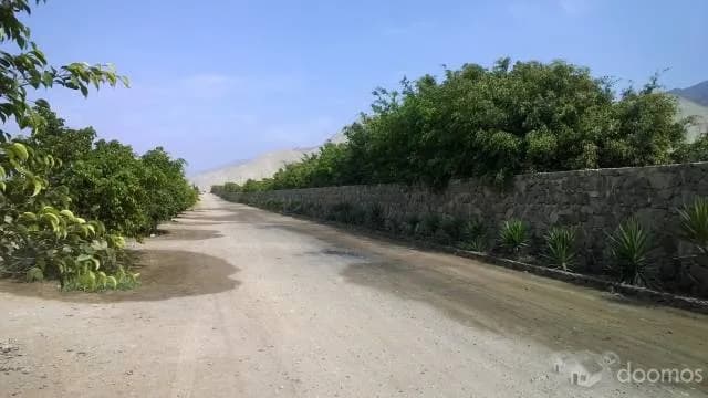 VENDO TERRENO EN CIENEGUILLA  1000 M2 — foto 5