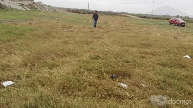 terreno de 250, 500 y 1250 m2 — foto 1