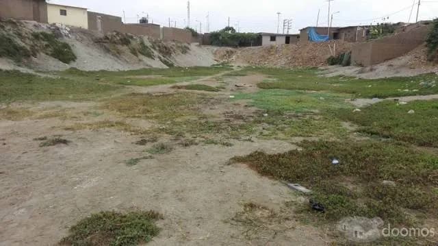 terreno de 250, 500 y 1250 m2 — foto 2