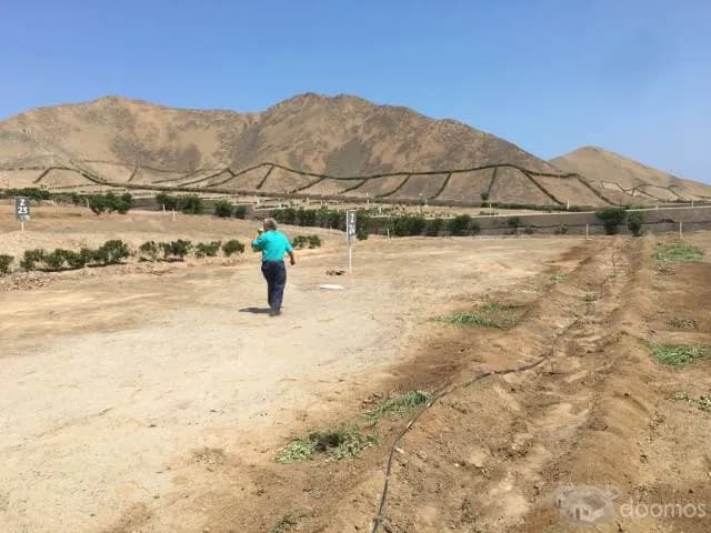 VENTA DE TERRENO FUNDO LA PRADERA ASIA — foto 6