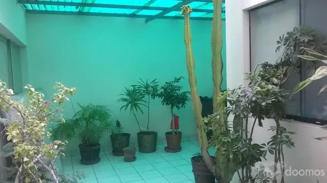 Amplio y comodo departamento en Magdalena — foto 5