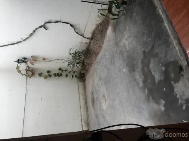 SE VENDE VIVIENDA RAZON AQUI 943 047 957 — foto 3