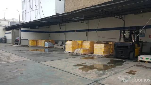 LOCAL INMENSO EN AVENIDA PARA CUALQUIER RUBRO — foto 5