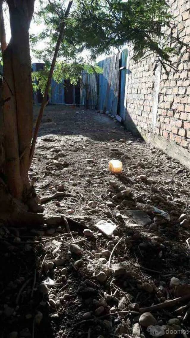 VENTA DE CASA EN JUANJUI — foto 5