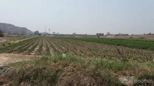 venta de terreno zona industrial 180 $ m2 — foto 1