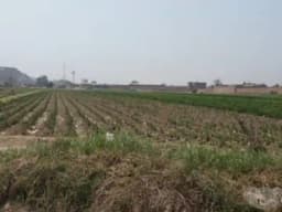 venta de terreno zona industrial 180 $ m2