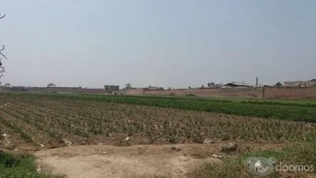 venta de terreno zona industrial 180 $ m2 — foto 3