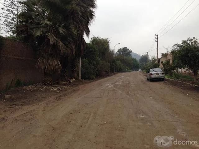 TERRENO EN VENTA AV. JATOSISA 1564 m2 PACHACAMAC — foto 2