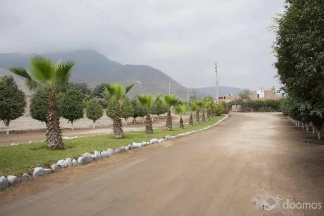 VENTA DE LOTES DE TERRENO EN CIENEGUILLA — foto 2