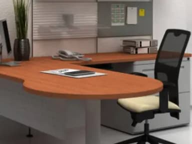 Miniatura 10