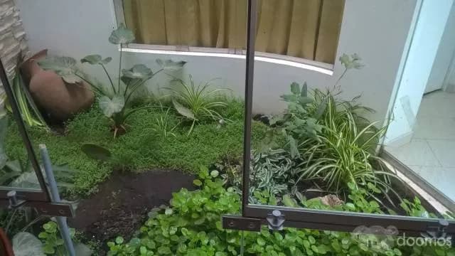 Venta de Departamento en Cajamarca — foto 4
