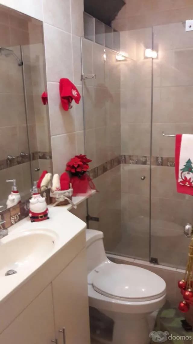 DEPARTAMENTO SAN BORJA — foto 8