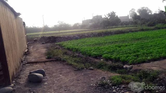 VENTA DE TERRENO EN CARAPONGO — foto 1