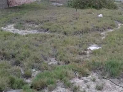 Terreno sin construir