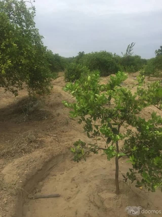 SE VENDE PARCELA — foto 6