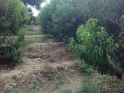 GRAN OPORTUNIDAD VENTA TERRENO EN ASIA-CAÑETE