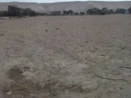 GRAN OPORTUNIDAD VENTA TERRENO DE CULTIVO EN ASIA - CAÑETE