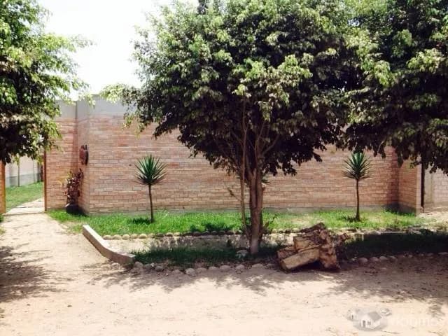 Vendo Casa en Pachacamac — foto 4