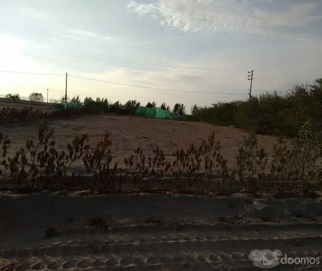 TERRENOS EN VENTA EN LA JOYA 1000 M2 — foto 4