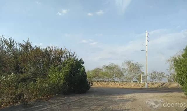 TERRENOS EN VENTA EN LA JOYA 1000 M2 — foto 6