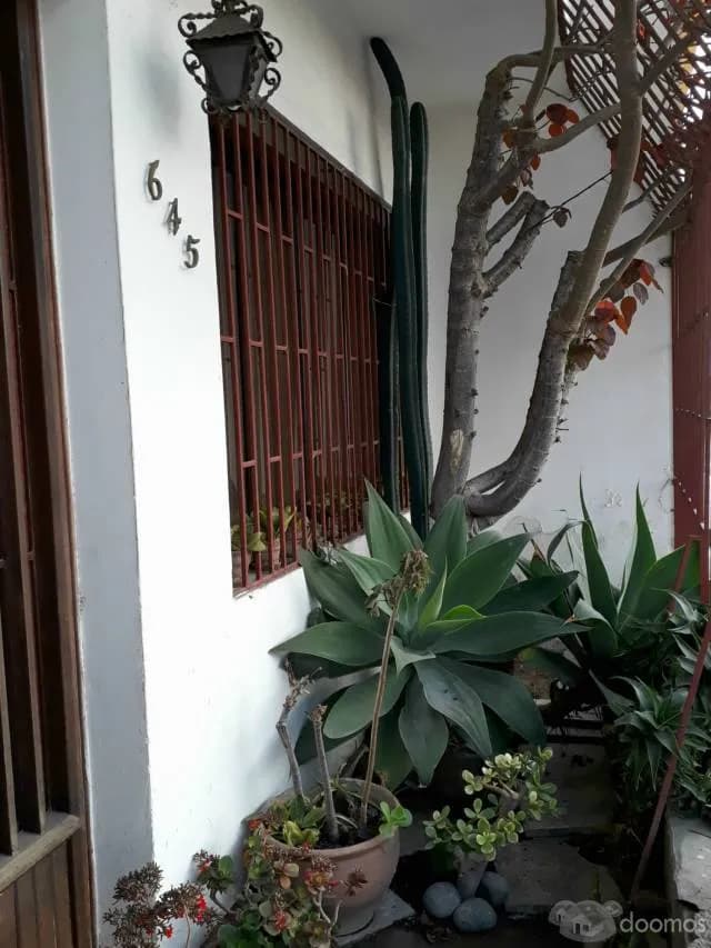 VENTA DE HERMOSA CASA EN BELLAVISTA — foto 2