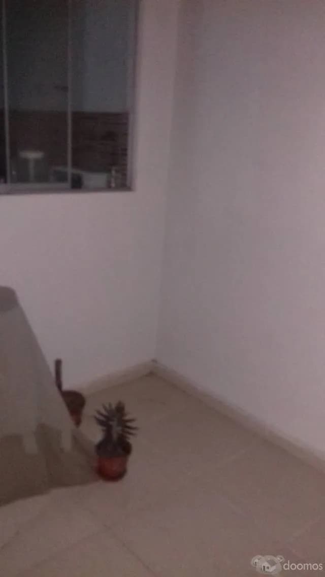 REMATO DPTO POR VIAJE — foto 6