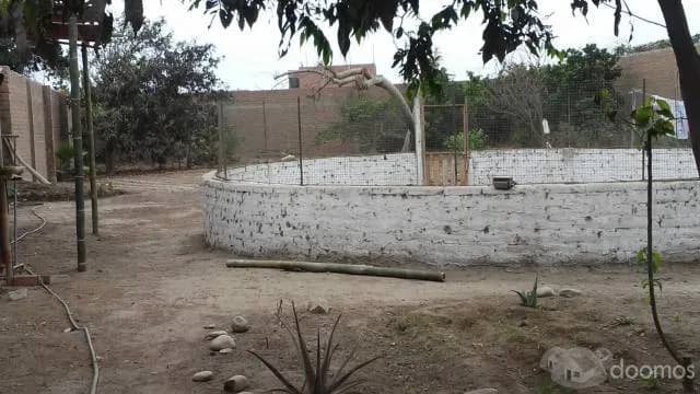 CASA DE CAMPO  HUACHO — foto 3