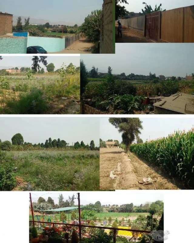 VENTA DE TERRENO ENCOMAS — foto 1