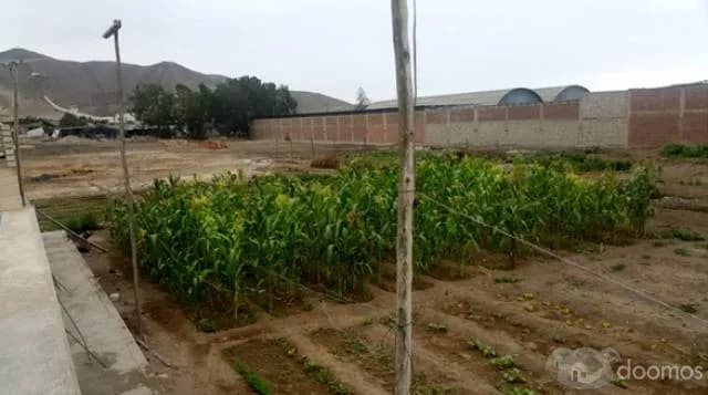 SE VENDE TERRENO EN PAPA LEÓN DE CHILCA!! — foto 1
