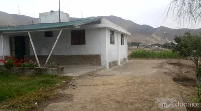 SE VENDE TERRENO EN PAPA LEÓN DE CHILCA!! — foto 3