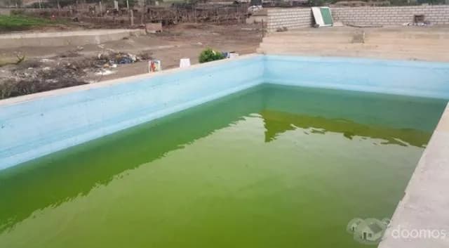SE VENDE TERRENO EN PAPA LEÓN DE CHILCA!! — foto 4