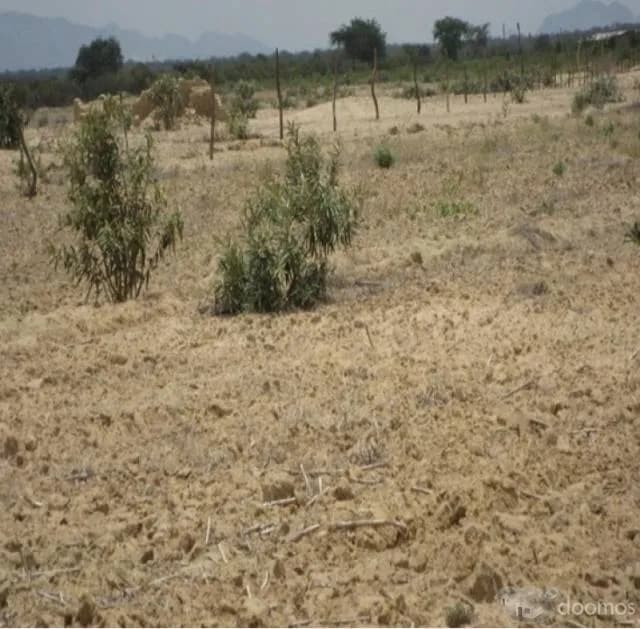 REMATO TERRENO AGRÍCOLA — foto 2