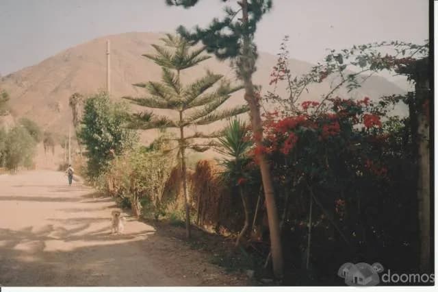 ALQUILO LINDA CASA DE CAMPO — foto 2